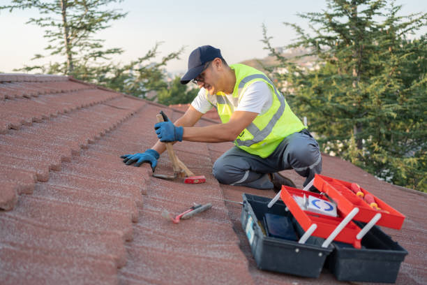 Professional Roofing Contractor in Omaha, TX